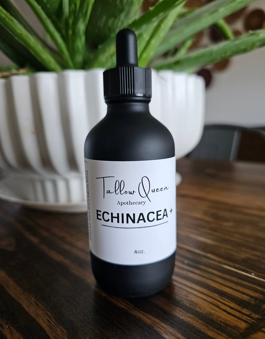 Echinacea+ Extract